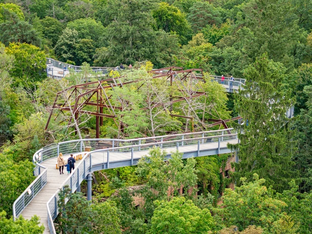 Baum&Zeit Baumkronenpfad
