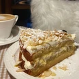 Kuchen im Café Holzappel