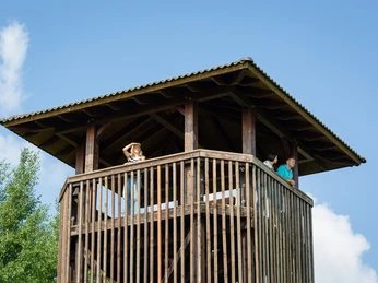 Aussichtsturm in Groß Schauen