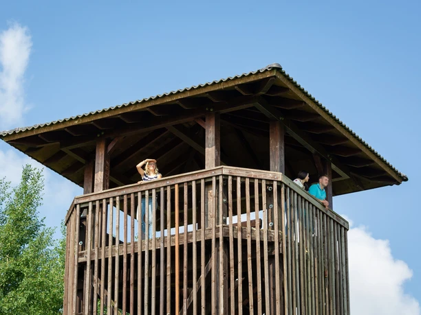 Aussichtsturm in Groß Schauen