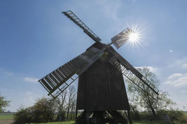 Bockwindmühle in Borne