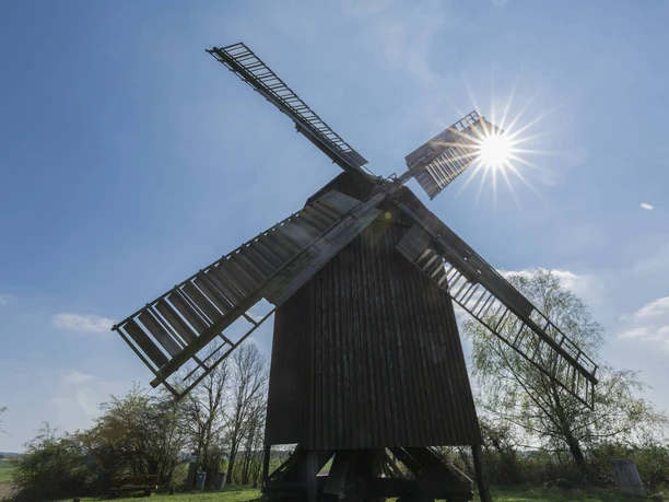 Bockwindmühle in Borne
