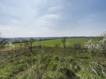 Aussicht vom Hagelberg