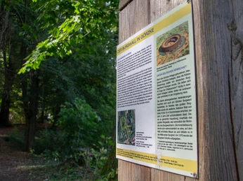 Infotafel zum Burgwall in Görzke