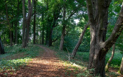 Wandern auf dem Burgwall