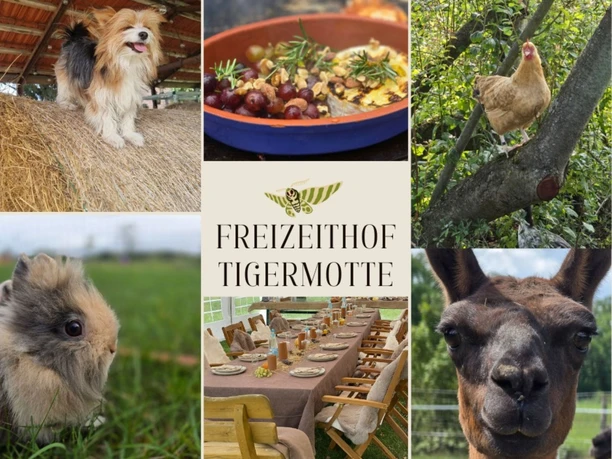 Freizeithof Tigermotte