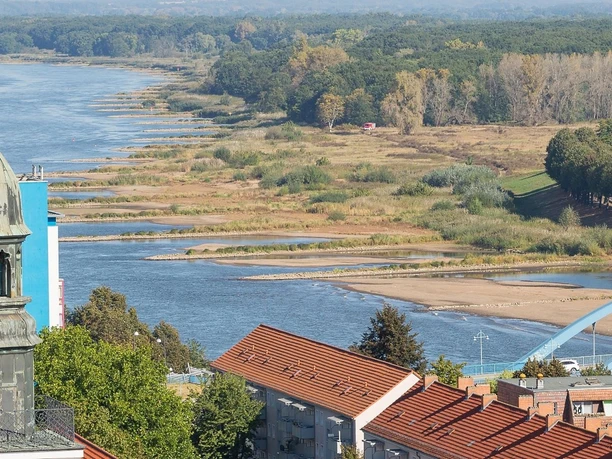 Blick von der Marienkirche in Frankfurt (Oder)