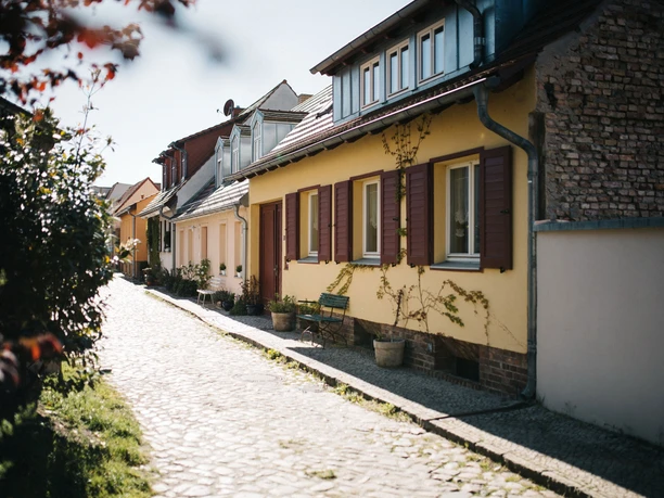 Werder (Havel) Boote am Anleger