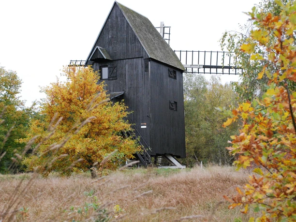 Bockwindmühle Prietzen