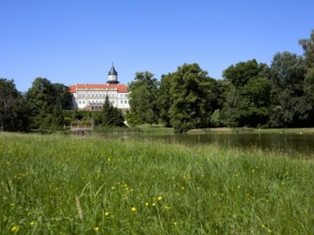 Blick vom Schlosspark über den Schlossteich auf das Schloss Wiesenburg