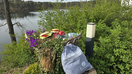 Waldseehotel Wirchensee
