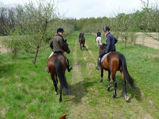 Ausritt im Reit- & Pensionsstall Gut Klostermühle