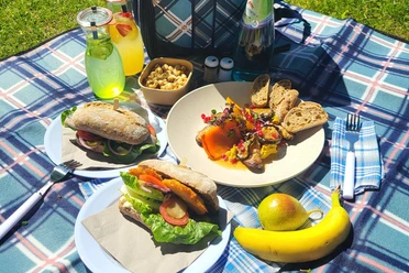 Picknick des Fischhaus Wendisch Rietz
