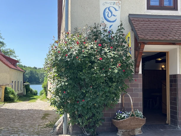 Eisdiele Eiskörbchen