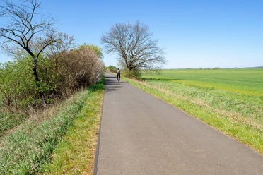 Oderbruchbahn Radweg
