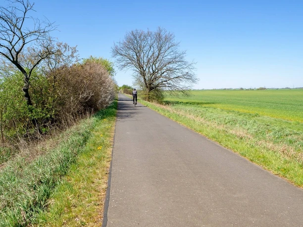 Oderbruchbahn Radweg