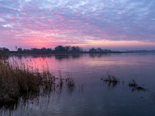 Abenddämmerung an der Oder