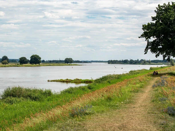 An der Oder