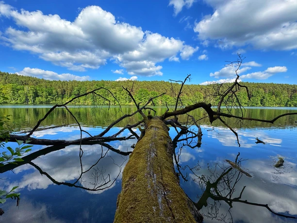 Am Wirchensee