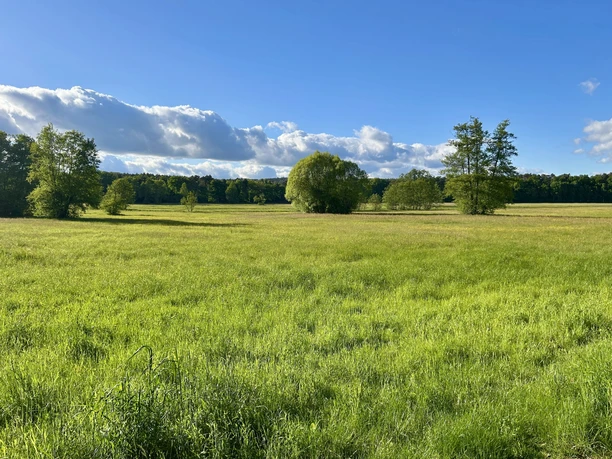 Wierichwiesen Bad Saarow