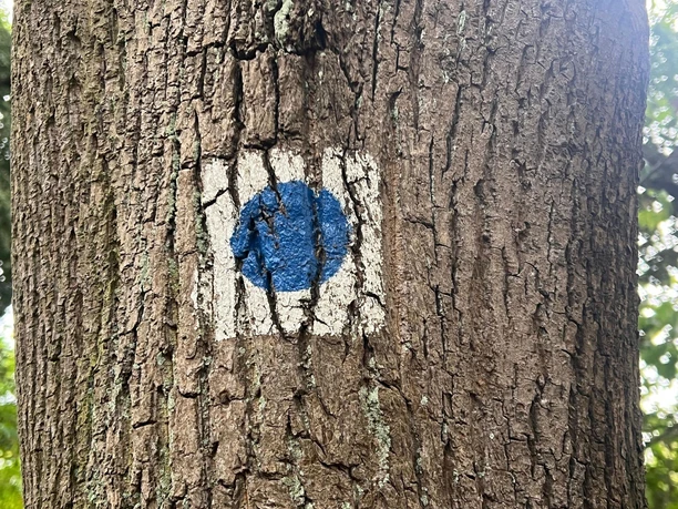 Logo 66-Seen-Wanderweg Logo 66-Seen-Wanderweg