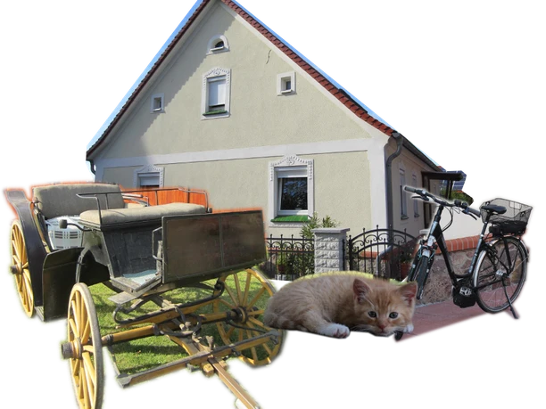 Sonnenhof Sonnenhof