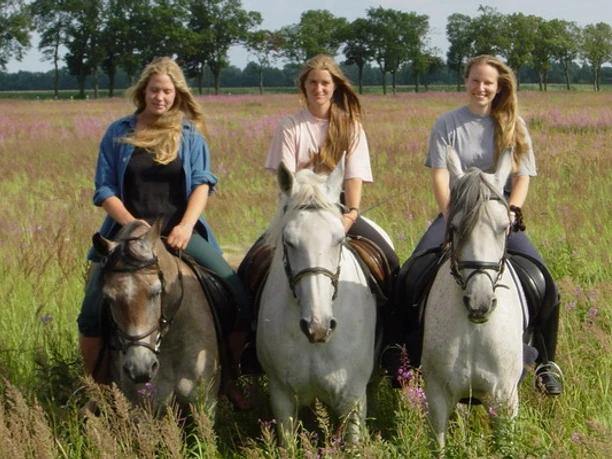 Foto: Shagya-Araber-Gestüt "Eichenhof"