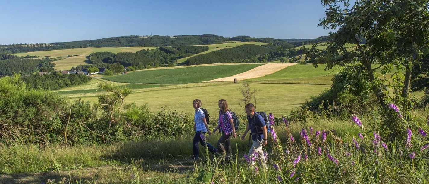 Eifelleiter bei Hohenleimbach