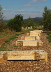 Trimmpfad Haiger