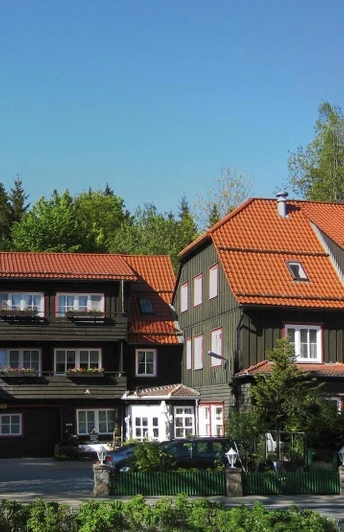 Mandelholz - Grüne Tanne