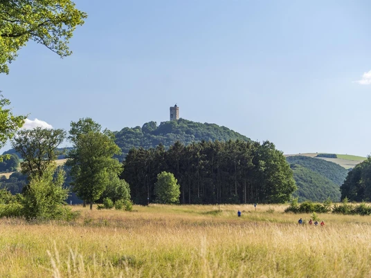 Blick auf Burg Olbrück
