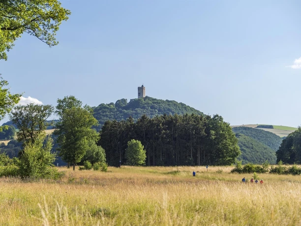 Blick auf Burg Olbrück