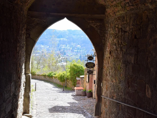 Tunnel zum Restaurant Bückingsgarten Marburg