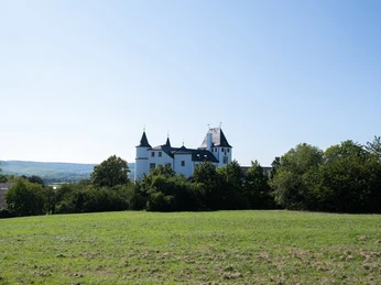 Casino Schloss Berg 13 www