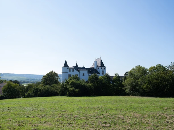 Casino Schloss Berg 13 www