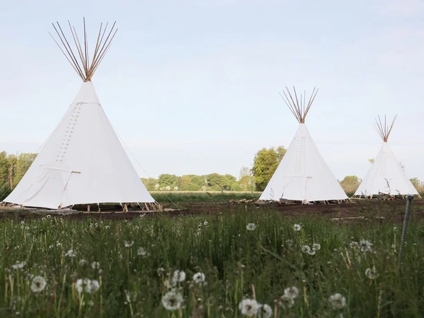 ASTRAEA_Tipi außen