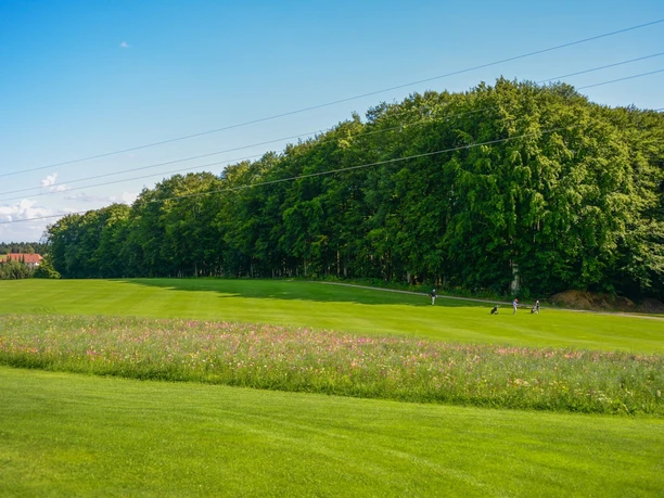 Golfclub Rickenbach