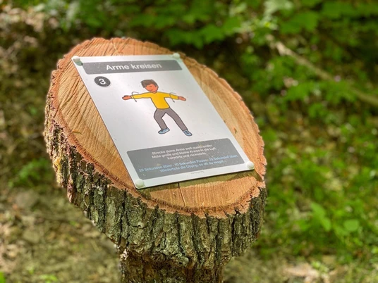 Dillenburger Fitness-Wald 2