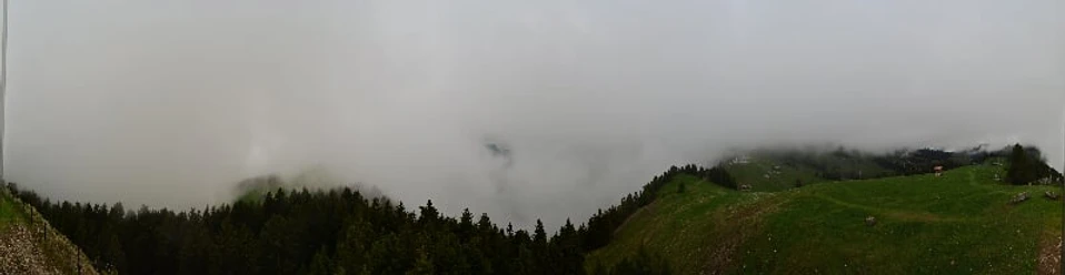 Rigi Rotstock