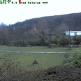 Webcam Opel-Zoo