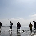 Entdecke das Watt - Geführte Wattwanderung im Nordseebad Otterndorf