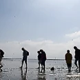 Entdecke das Watt - Geführte Wattwanderung im Nordseebad Otterndorf