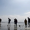 Entdecke das Watt - Geführte Wattwanderung im Nordseebad Otterndorf