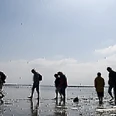 Entdecke das Watt - Geführte Wattwanderung im Nordseebad Otterndorf