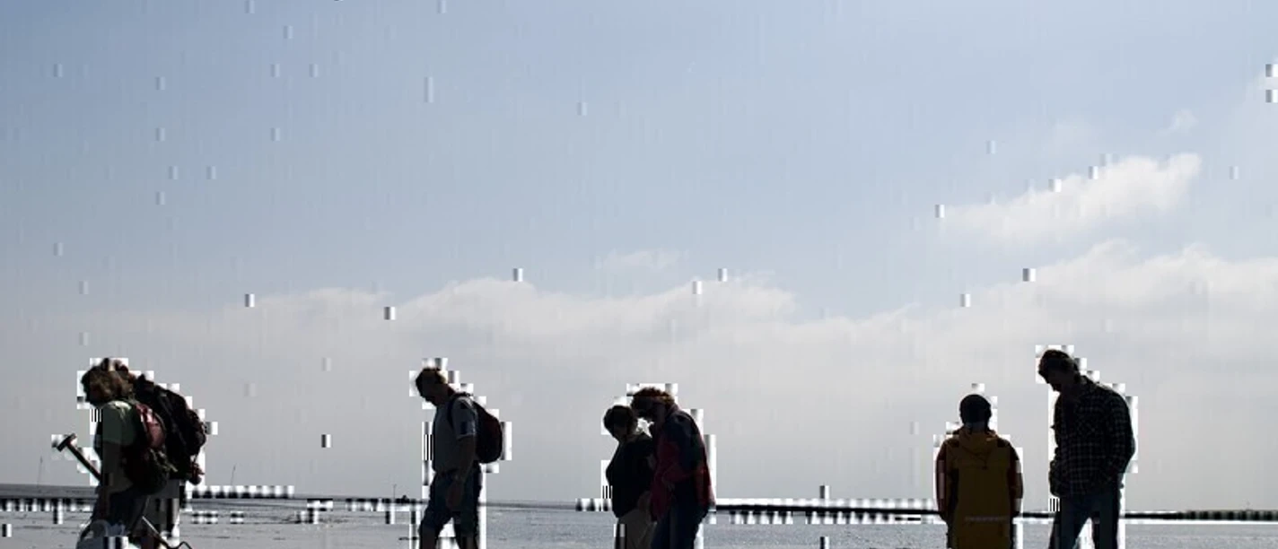 Entdecke das Watt - Geführte Wattwanderung im Nordseebad Otterndorf