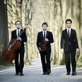 Busch Trio Amsterdam - Beethoven im Schloss II
