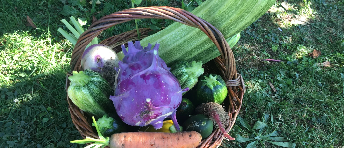 D951r9d4scoyq50rnbhwbed849fv5vh0