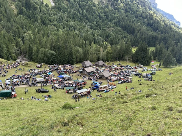 Überblick