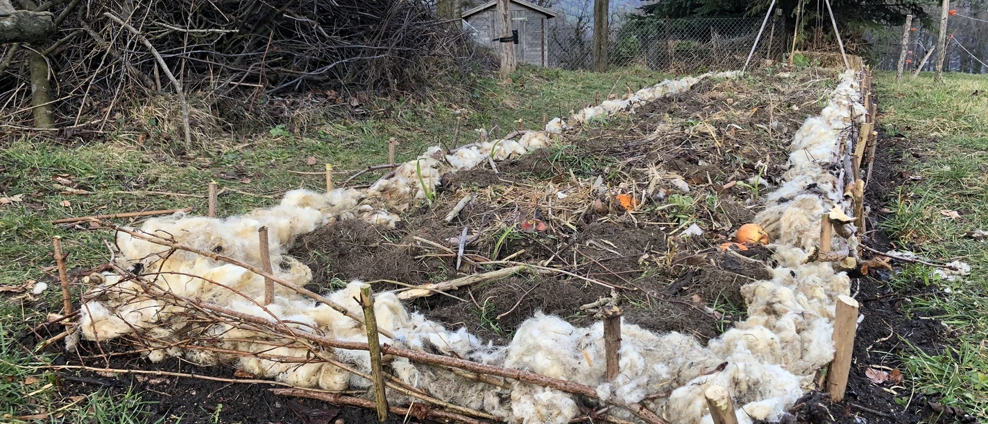 99wmxa6al7ck3p1kr0t76dcwdxzl2pvi