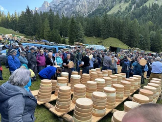 Käse